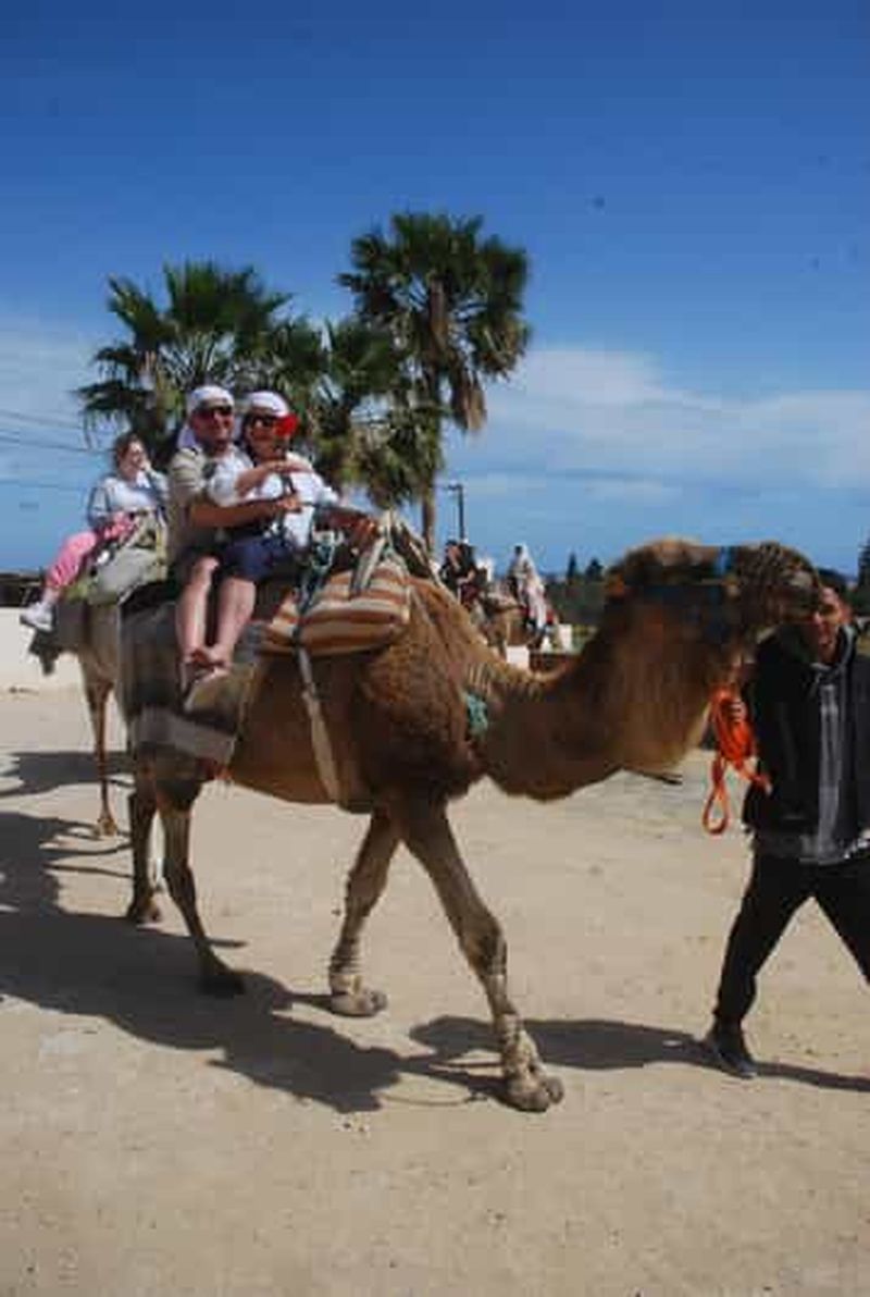 Au départ Sousse ou Monastir : Randonnée de chameau a kantaoui