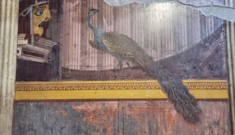 Torre Annunziata : Villa Poppea Guide Audio pour Smartphone