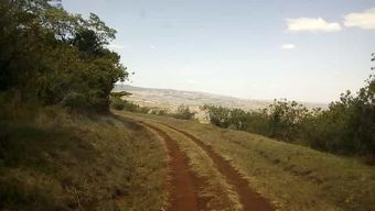 Depuis Nairobi : visite de la forêt de Kakamega, du mont Elgon et de Kapenguria