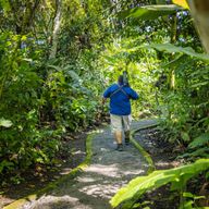 La Fortuna : Tour des paresseux dans le parc du volcan Arenal et collation locale