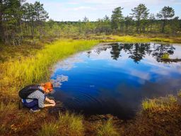 Au départ de Tallinn : excursion au parc national de Lahemaa