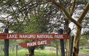Excursion de nuit au lac Bogoria et au parc national du lac Nakuru