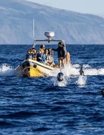 EXCURSION EN BATEAU À CORVO