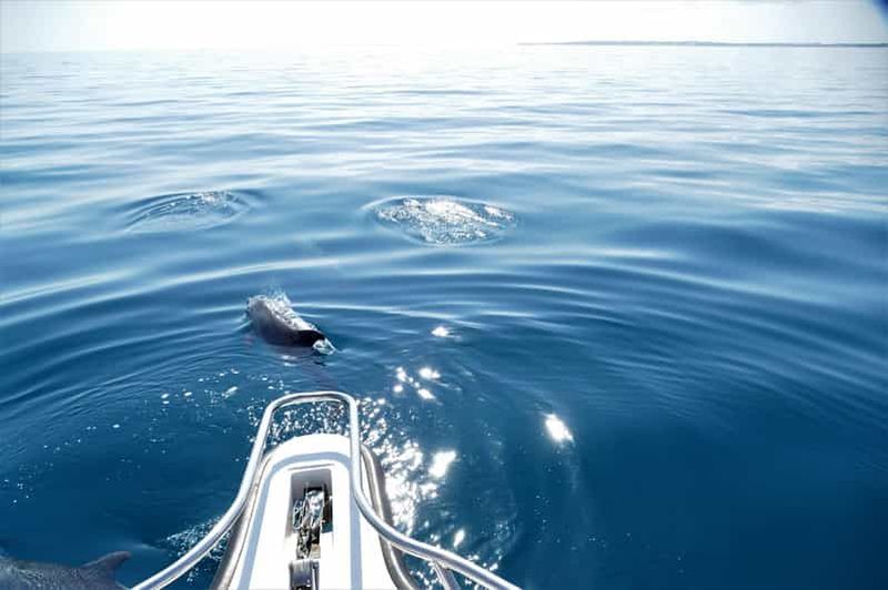 Bazaruto et Two Mille Reef : excursion d'une journée au départ de Vilanculos