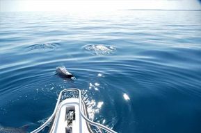 Bazaruto et Two Mille Reef : excursion d'une journée au départ de Vilanculos