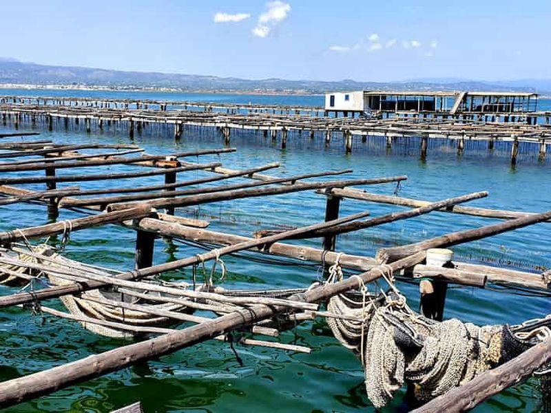 Barcelone : Visite des bains de thon dans le delta de l'Ebre et route des oliviers