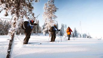 Rovaniemi : safari de ski de randonnée en Laponie