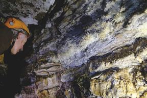 Spéléo découverte a la Grotte de Pézenas