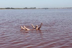 Région de Dakar : Lac Rose et parc aux tortues de Noflaye