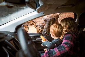 Montebello, QC : Admission générale au Parc Omega