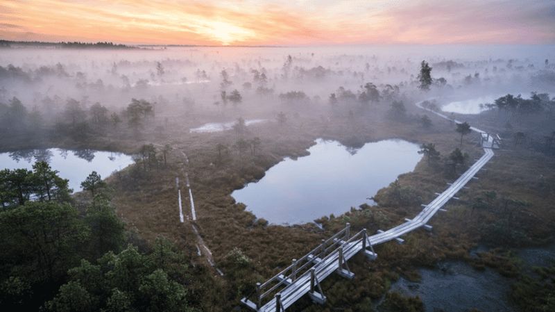 Depuis Riga : Jurmala et Kemeri + pique-nique (partagé/privé)