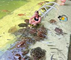 Nungwi : Nagez et faites de la plongée en apnée avec les tortues à The Lagoons Zanzibar