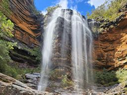 Au départ de Sydney : Visite à pied des Montagnes Bleues avec promenade dans les cascades et déjeuner.