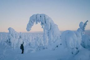 Randonnée dans le parc national de Riisitunturi avec photographe