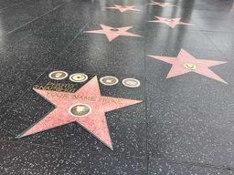 Hollywood : votre expérience photo sur le Walk of Fame