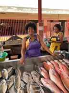 Visite d'une journée de l'île, São Vicente, Mindelo, temps forts