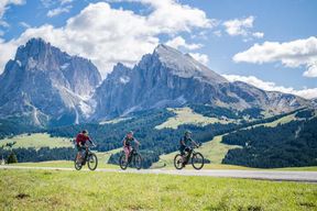Visite privée en vélo électrique – Découvrez le plateau de l'Alpe di Siusi
