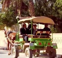 De Tozeur : Découverte de la palmeraie de Tozeur en calèche
