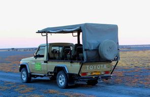 Au départ de Maun : 3 jours de safari dans la réserve de Moremi