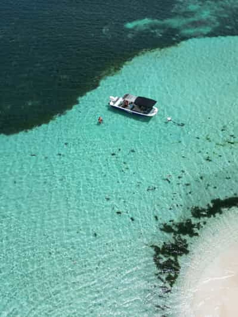 Guadeloupe : Excursion 1/2j magique en bateau : mangrove, îlet, snorkeling.