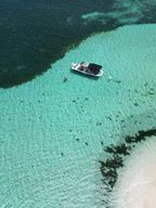 Guadeloupe : Excursion 1/2j magique en bateau : mangrove, îlet, snorkeling.