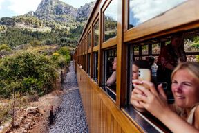 Depuis Palma : visite guidée de la Serra Tramuntana et du monastère de Lluc