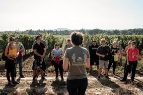 Balaton : visite du vignoble et dégustation de vins avec Zelna