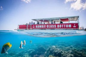 Honolulu : Tour en bateau à fond de verre le long de la côte sud d'Oahu