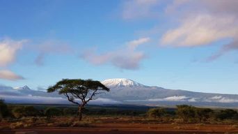 Parc national du Kilimandjaro - Plateau de Shira, randonnée d'une journée