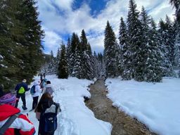 Randonnée en raquettes dans les Dolomites avec guide et location d'équipement