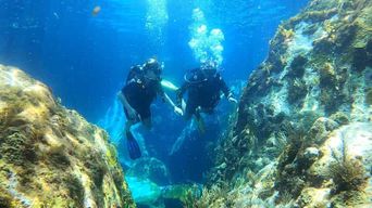 Martinique : baptême de plongée sous-marine