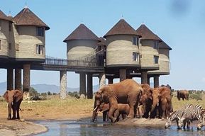 Au départ de Mombasa : 5 jours de safari à Tsavo East, West et Saltlick Lodge