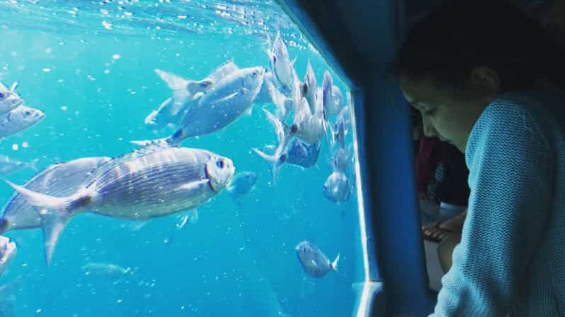 Roses : Croisière à Cala Murtra avec vue sous-marine