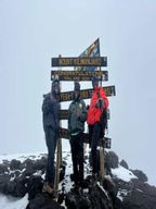 N° 1. Meilleur trek de 7 jours sur le Kilimandjaro, itinéraire Machame, rejoignez un groupe
