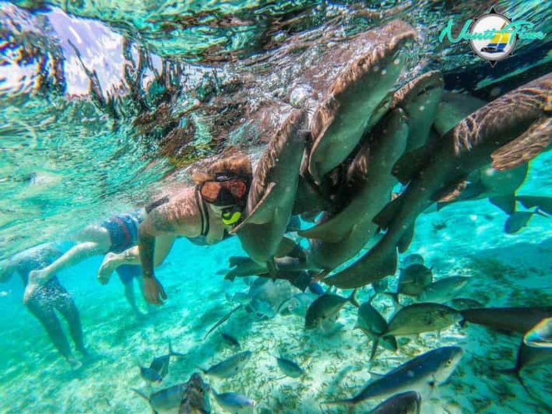 Caye Caulker : visite en petit groupe de la réserve marine de Hol Chan