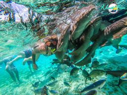Caye Caulker : visite en petit groupe de la réserve marine de Hol Chan