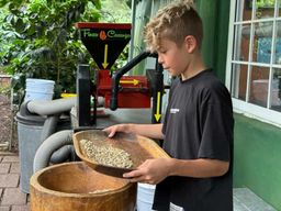 Boquete : Expérience pratique de café avec dégustation