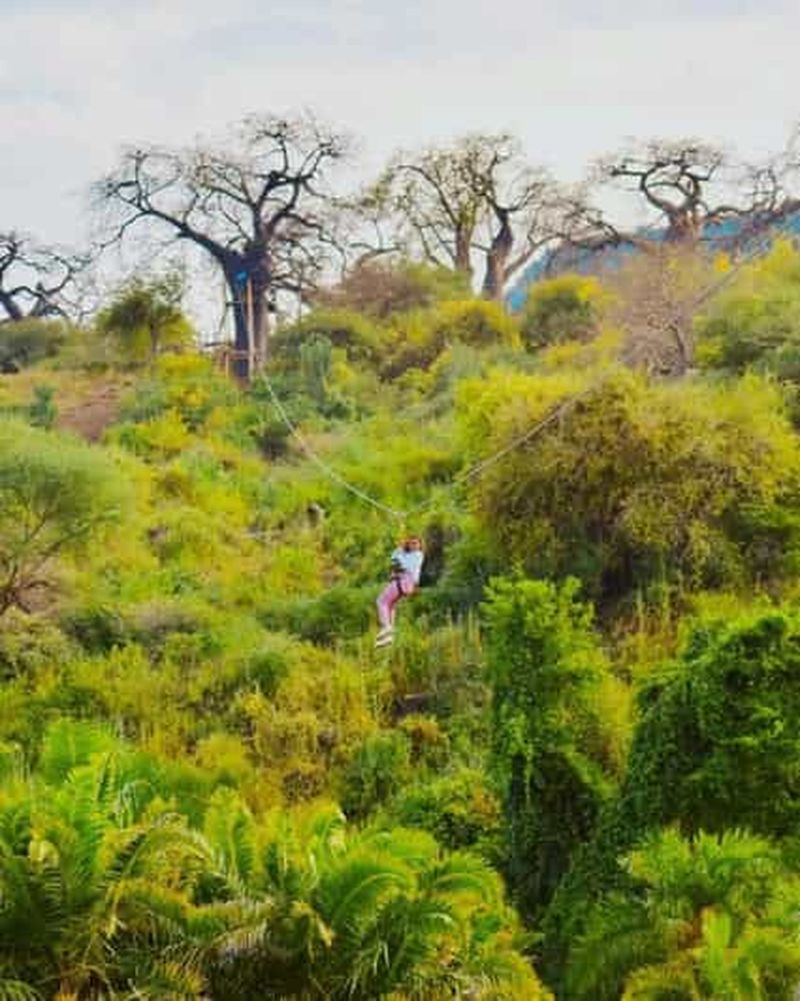 ZIPLINE DU LAC MANYARA