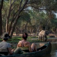 Bas-Zambèze : aventure safari de 2 jours en canoë et à pied.