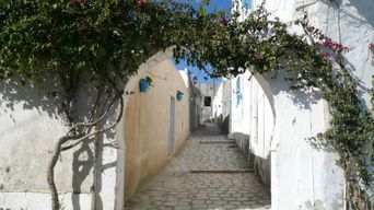 Hergla, Zriba Alia et Takrouna : excursion sur le patrimoine berbère