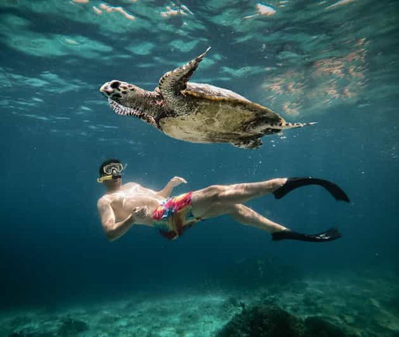 Depuis Gili Air : Plongée en apnée avec les tortues et la statue sous-marine