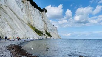 Depuis Copenhague : Aller-retour à Møns Klint et à la Tour de la forêt