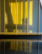 Visite privative de la Fondation Louis Vuitton