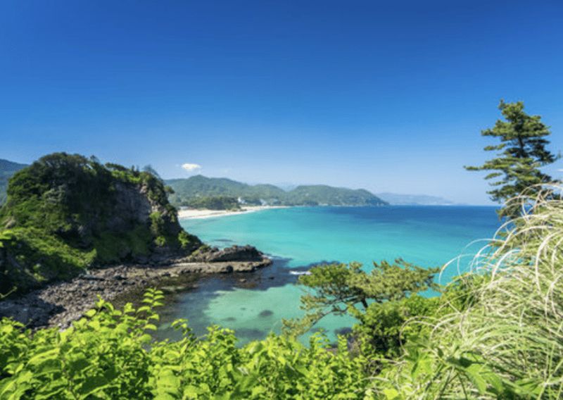 Depuis Tokyo : Excursion privée d'une journée à Izu et Shimoda, Shizuoka