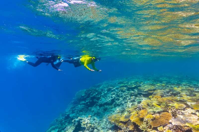 Townsville et Magnetic Island : expérience de snorkeling au MOUA et sur la barrière de corail