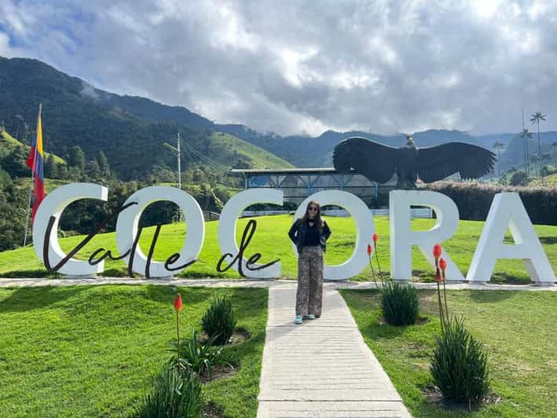 Depuis Salento : Visite partagée de la vallée de Cocora