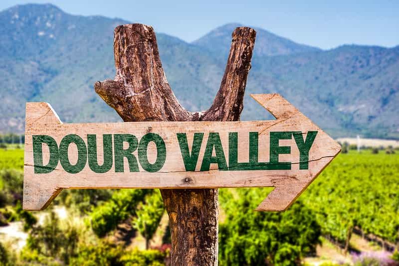 Depuis Porto : Vallée du Douro avec tour en bateau, dégustation de vin et déjeuner
