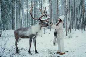 Rovaniemi : Visite d'une ferme de rennes avec un photographe