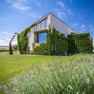 Tudela : visite et dégustation d'huile d'olive Artajo