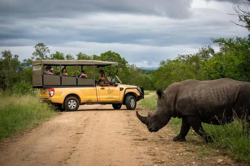 Au départ de Hazyview : Safari d'une journée dans le parc national Kruger